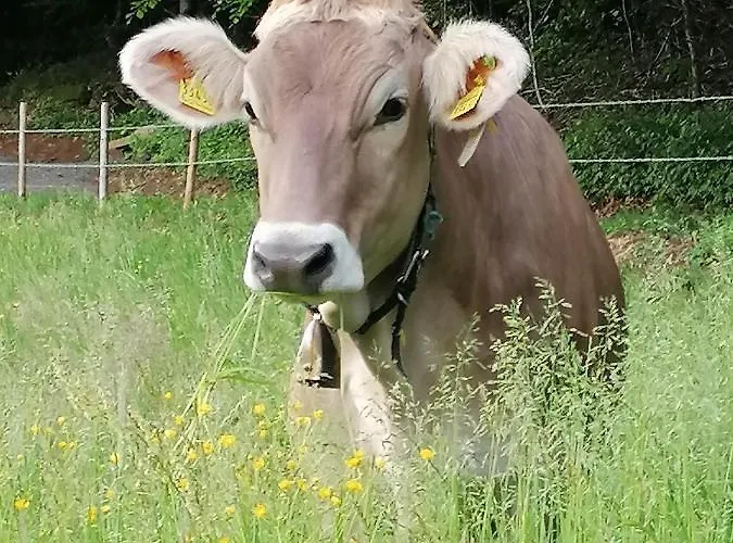 Lejlighed Auf Der Hoeh