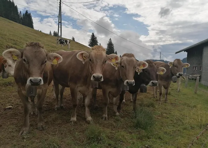Auf Der Hoeh Lejlighed Immenstadt im Allgäu