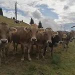 Auf Der Hoeh Apartamento Immenstadt im Allgäu