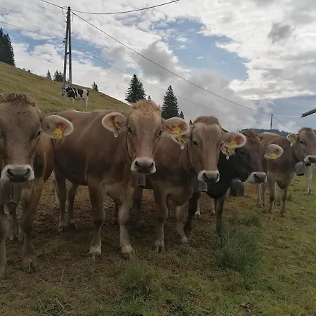 Auf Der Hoeh Apartamento Immenstadt im Allgäu